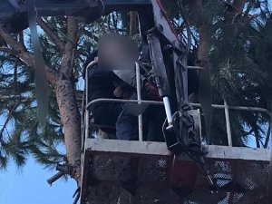 Ağaç Budarken Elektrik Akımına Kapılan Kişi Hayatını Kaybetti