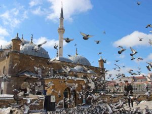 Yozgat Esnafının İlk Müşterileri Güvercinler Oluyor