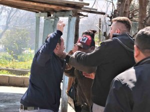 Evini Alevler İçerisinde Görünce Kiracısına Tokat Ve Yumruk İle Saldırdı