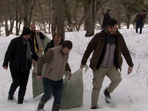 Belgrad Ormanı’ndaki Geyikler Böyle Beslendi