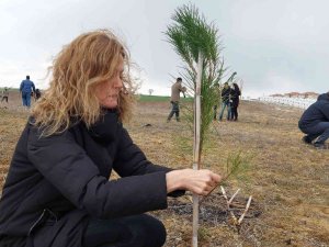Bu Fidanlar Pandeminin Baş Kahramanları İçin Boy Gösterecek