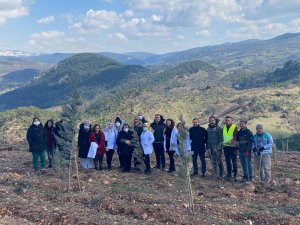 Doktorlar Tıp Bayramında Defne Ağacı Diktiler