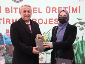 Samsun’da Kivi Üretiminde Hedef 4 Yılda 1. Sıraya Yerleşmek