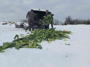 Trakya’da Yaban Hayatına 22 Ton Yem Bırakıldı