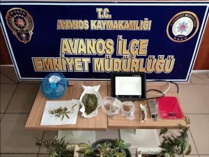 Saksıda Uyuşturucu Yetiştirmiş