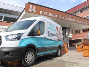 Bu Da Hayvan Ambulansı