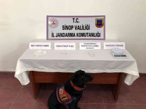 Sinop’ta Uyuşturucu Operasyonu