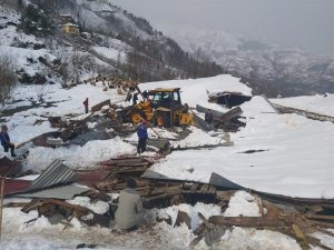 Yoğun Kara Dayanamayan Ahırın Çatısı Çöktü, 5 Koyun Telef Oldu