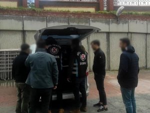 Çakarlı Düğün Konvoyu Yapan Araç Sürücülerine Ceza