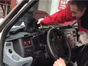 Rize’de minibüste sıkışan kediyi itfaiye kurtardı
