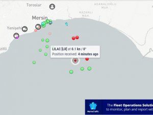 Ayçiçeği Yüklü İlk Gemi Mersin’e Ulaştı