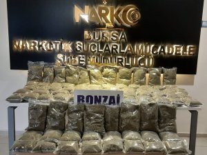 Büyük Uyuşturucu Operasyonu...mal Varlıklarına El Konuldu...termal Kamerayla Böyle Yakalandılar