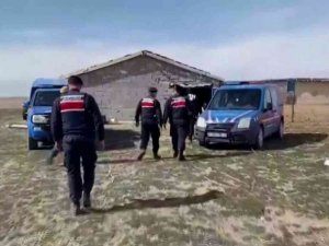 Çaldıkları Koyunların Parasını Ödeyince Serbest Kaldılar