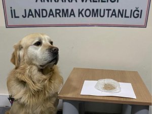 Başkent’teki Uyuşturucu Operasyonlarında 9 Gözaltı