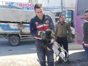 Otobüsün Altına Giren Kediyi İtfaiye Ekipleri Kurtardı