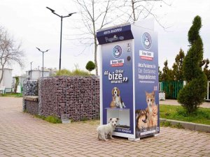Kestel’de Sokak Hayvanları İçin ‘Mamamatik’ Uygulaması