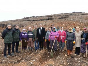 Muğla’da Şehit Yakınları Şehitler Anısına Fidan Dikti