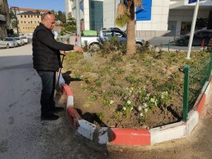 Samandağ’da Çevre Düzenlemesi Çalışmaları