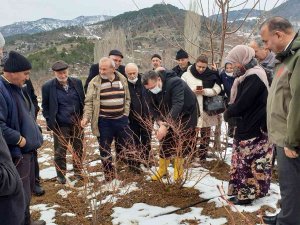 Çiftçiye Yaban Mersini Budama Ve Gübreleme Eğitimi