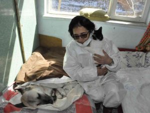Felçli Köpeğe ’Anne’ Şefkati