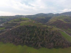 ’Masal Ormanı Projesi’ Hayata Geçiyor