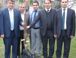 Kardelen Büyükorhanlı Çiftçilere Kestane Fidanı Dağıtacak