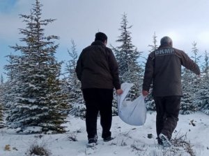 Elazığ’da Yaban Hayvanları İçin Doğaya Yem Bırakıldı