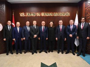 Tgdf’den Bakan Kirişçi’ye Ziyaret