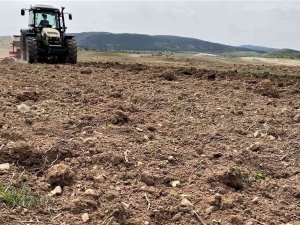 Karabük’te 2 Bin Dekar Alanda Ayçiçek Ekimi Yapılacak