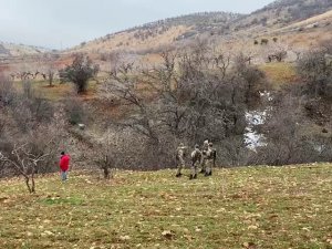 Kayıp Olarak Aranan Yaşlı Adamın Cesedi Bulundu