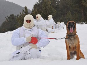 Sarıkamış’ta Komandolardan Eksi 19 Derecede Eğitim