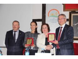 Ayı Saldırılarına Karşı, Arılar Sigorta Kapsamına Alındı