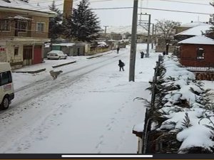 Köpek Saldırısından Kurtulan Yusuf O Anları Anlattı