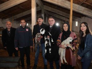 Tokat’ta 2 Yılda 912 Çiftçi Sürü Sahibi Oldu