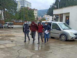 Osmaniye’de Zeytinyağı Çalan 2 Kişi Tutuklandı