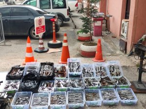 Silah Kaçakçılığı Operasyonunda Yakalanan 24 Şüpheli Adliye Sevk Edildi