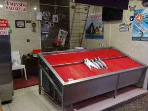 Karadeniz’de Bir Haftadır Etkili Olan Kar Yağışı Tezgahlarda Balık Fiyatlarını Uçurdu