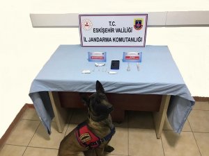 Otomobilde Saklanan Uyuşturucu Maddeyi Narkotik Köpek ’Alfa’ Buldu