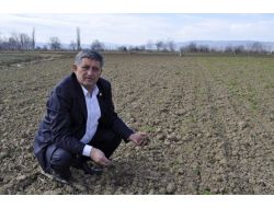 Tarım Ambarı Yenişehir’de Organik Tarım Yapan Yok