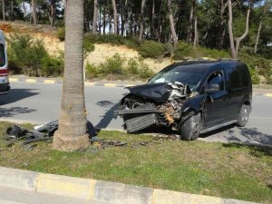 Kontrolden Çıkan Ticari Araç Palmiyeye Çarptı: 2 Yaralı