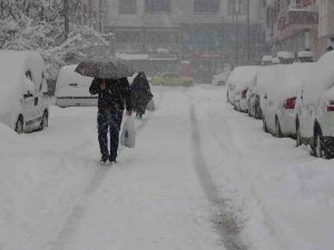 Baharı Bekleyen Bingöl Kara Kışa Teslim Oldu