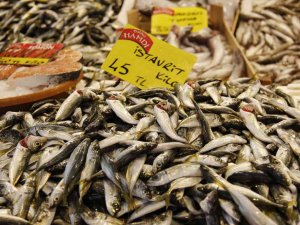 Marmara’da Etkili Olan Kar Yağışı Balık Fiyatlarını Uçurdu