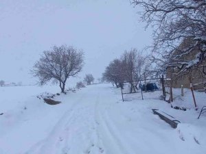 Tunceli’de 250 Köy Yolu Ulaşıma Kapandı