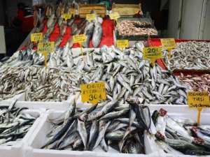 Soğuk Havada Balığa İlgi Arttı