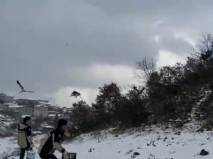 Afrika’dan Avrupa’ya Göç Ederken Ümraniye’de Mola Veren Leylek Sürüsünü Belediye Ekipleri Besledi