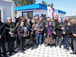 Konser Gelirleri Zeytin Ağacına Dönüştü
