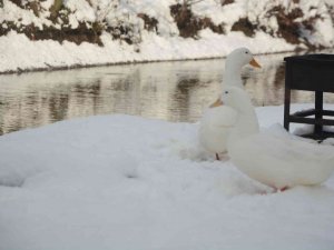 Beyaz Bir Sabaha Uyanan Balıkesir’de Karın Güzelliği Havadan Görüntülendi