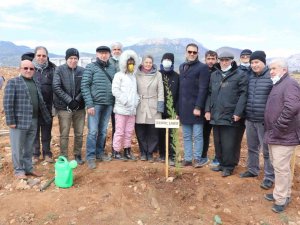 Mersin’de Covid-19 Kurbanı Sağlık Çalışanları Anısına Fidan Dikildi