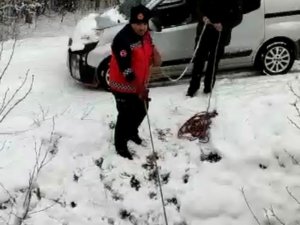 İ̇tfaiye Erleri Derede Mahsur Kalan Baykuş İçin Seferber Oldu