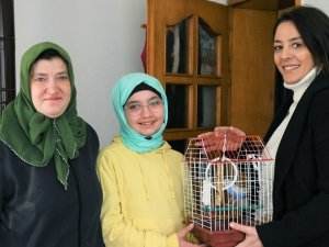 Belediyeden Muhabbet Kuşu İstedi